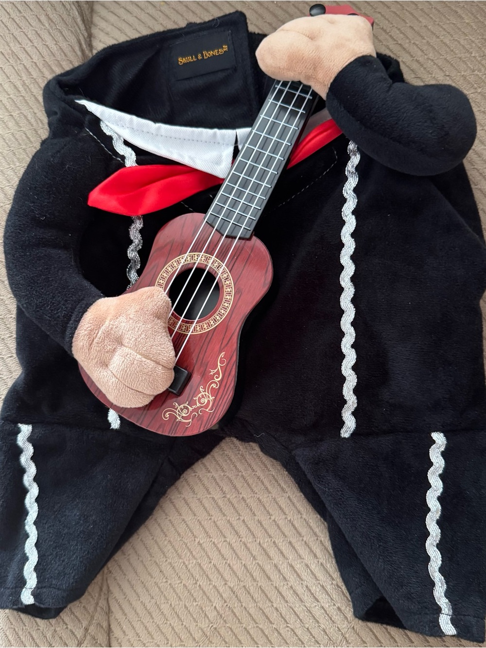 Skull & Bones Mariachi / Musician Dog Costume